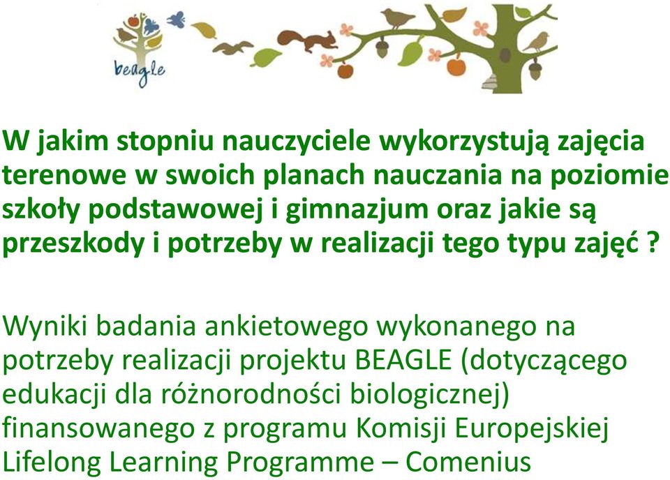 Wyniki badania ankietowego wykonanego na potrzeby realizacji projektu BEAGLE (dotyczącego edukacji