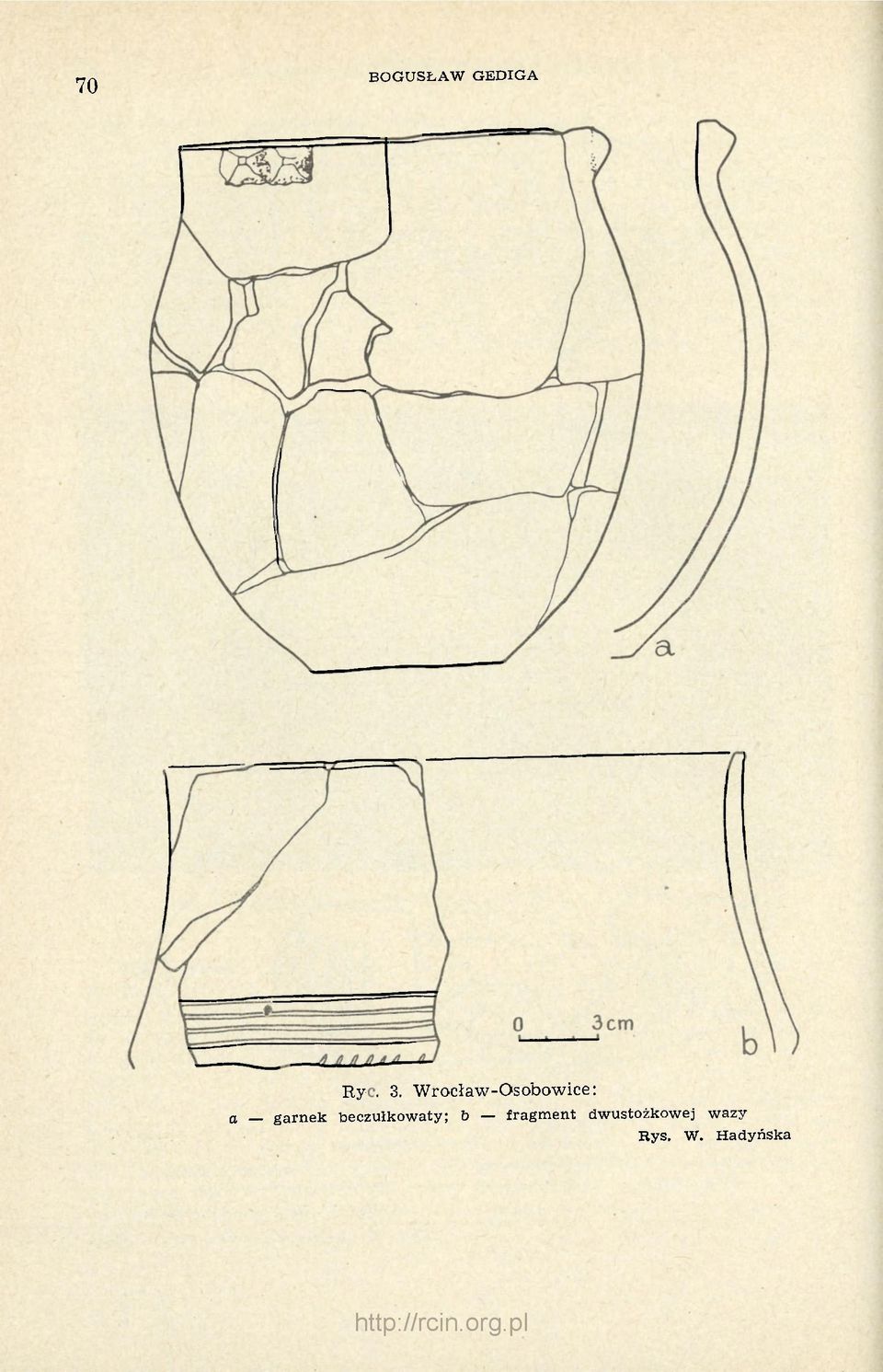 beczułkowaty; b fragment