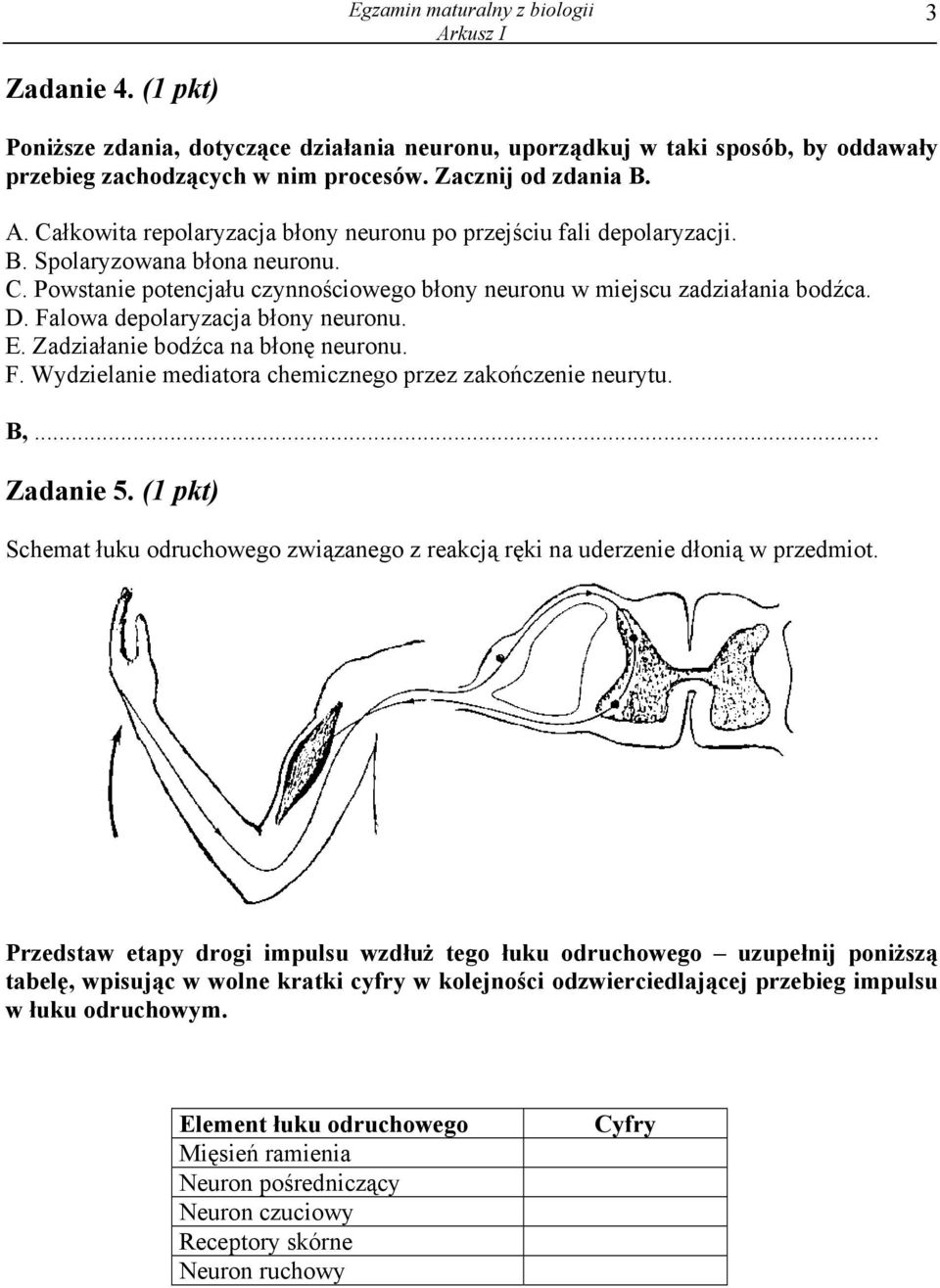 Falowa depolaryzacja błony neuronu. E. Zadziałanie bodźca na błonę neuronu. F. Wydzielanie mediatora chemicznego przez zakończenie neurytu. B,... Zadanie 5.