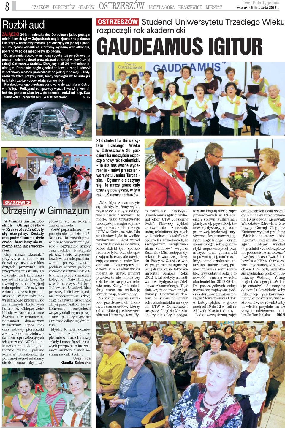 Do zdarzenia dosz³o w minion¹ sobotê tu po pó³nocy na prostym odcinku drogi prowadz¹cej do drogi wojewódzkiej relacji Ostrzeszów-Grabów. Kieruj¹cy audi 24-letni mieszkaniec gm.