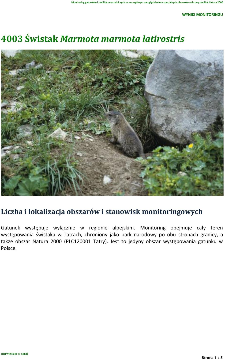 Monitoring obejmuje cały teren występowania świstaka w Tatrach, chroniony jako park narodowy