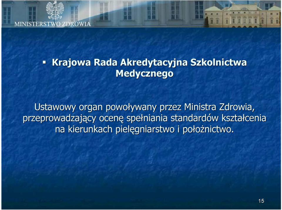 przeprowadzający ocenę spełniania standardów