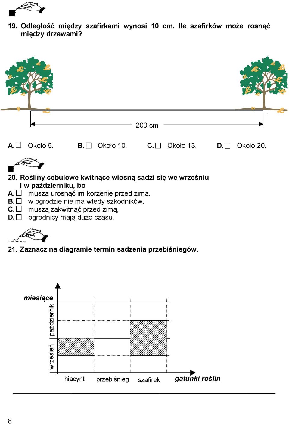 muszą urosnąć im korzenie przed zimą. B. w ogrodzie nie ma wtedy szkodników. C. muszą zakwitnąć przed zimą. D.