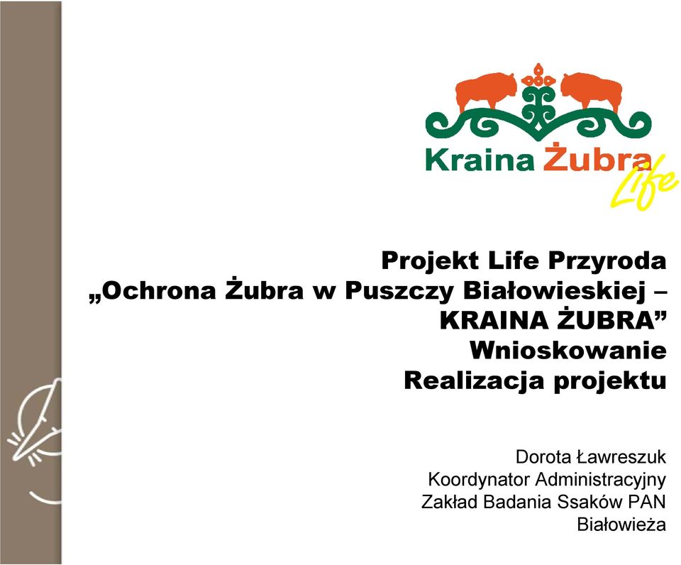 Realizacja projektu Dorota Ławreszuk