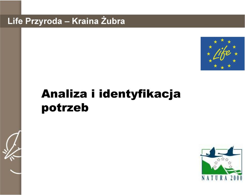 Analiza i
