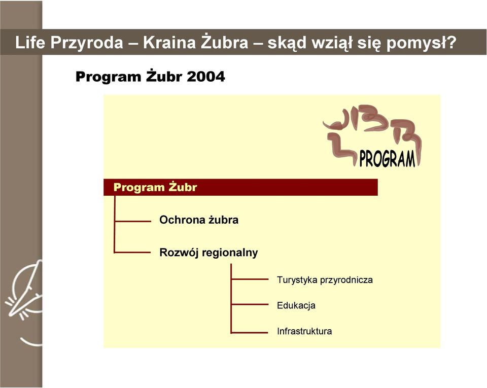 Program śubr 2004 Program śubr Ochrona