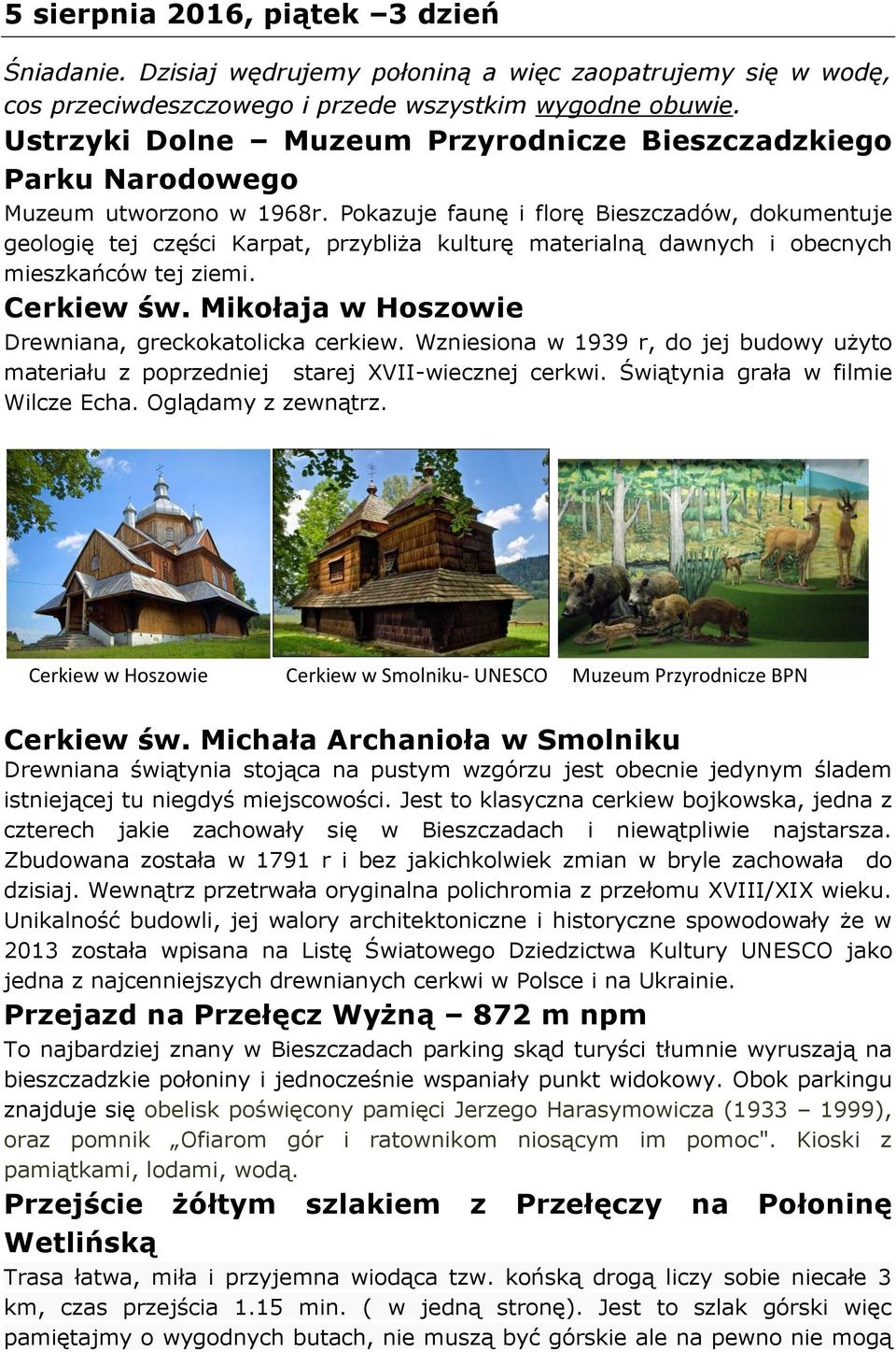Pokazuje faunę i florę Bieszczadów, dokumentuje geologię tej części Karpat, przybliża kulturę materialną dawnych i obecnych mieszkańców tej ziemi. Cerkiew św.