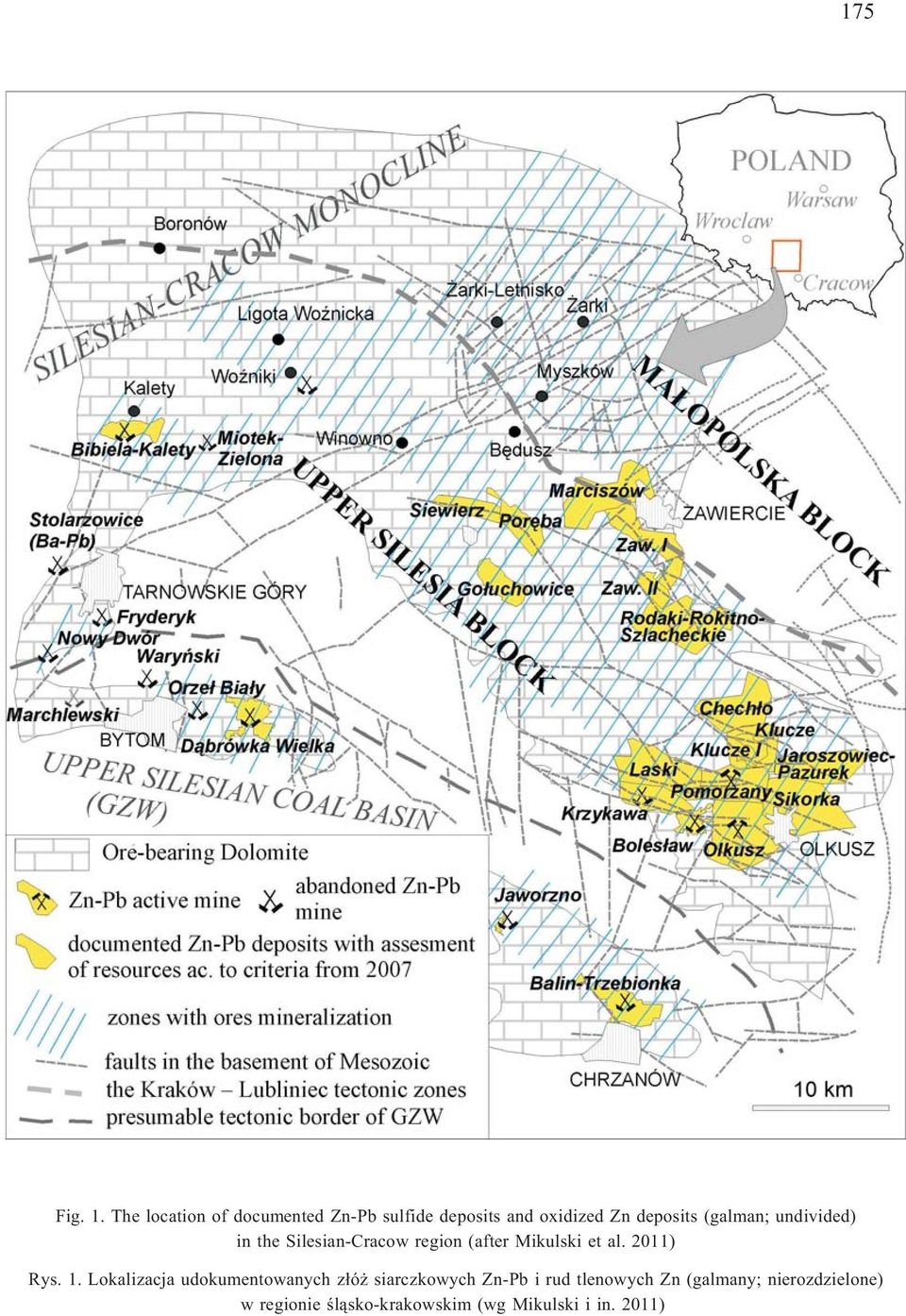 (galman; undivided) in the Silesian-Cracow region (after Mikulski et al.