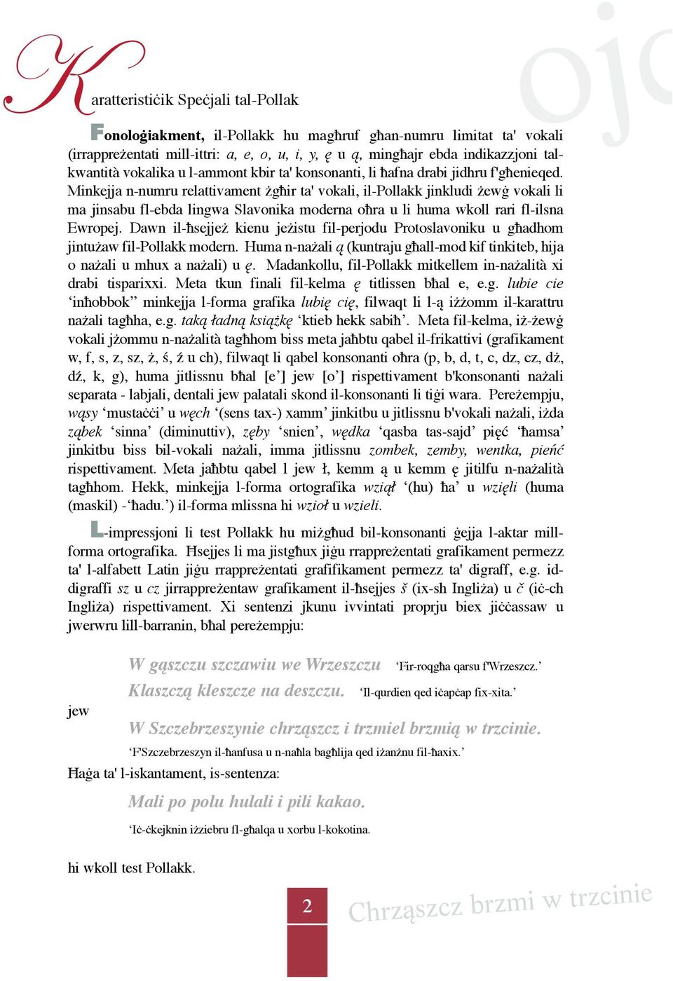 Minkejja n-numru relattivament żgħir ta' vokali, il-pollakk jinkludi żewġ vokali li ma jinsabu fl-ebda lingwa Slavonika moderna oħra u li huma wkoll rari fl-ilsna Ewropej.
