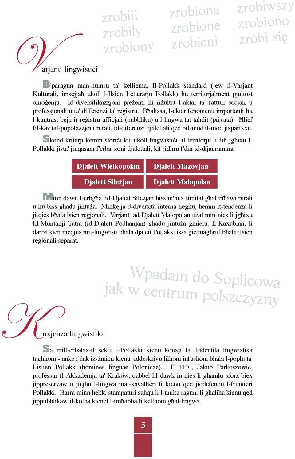 Bħalissa, l-aktar fenomenu importanti hu l-kuntrast bejn ir-reġistru uffiċjali (pubbliku) u l-lingwa tat-taħdit (privata).