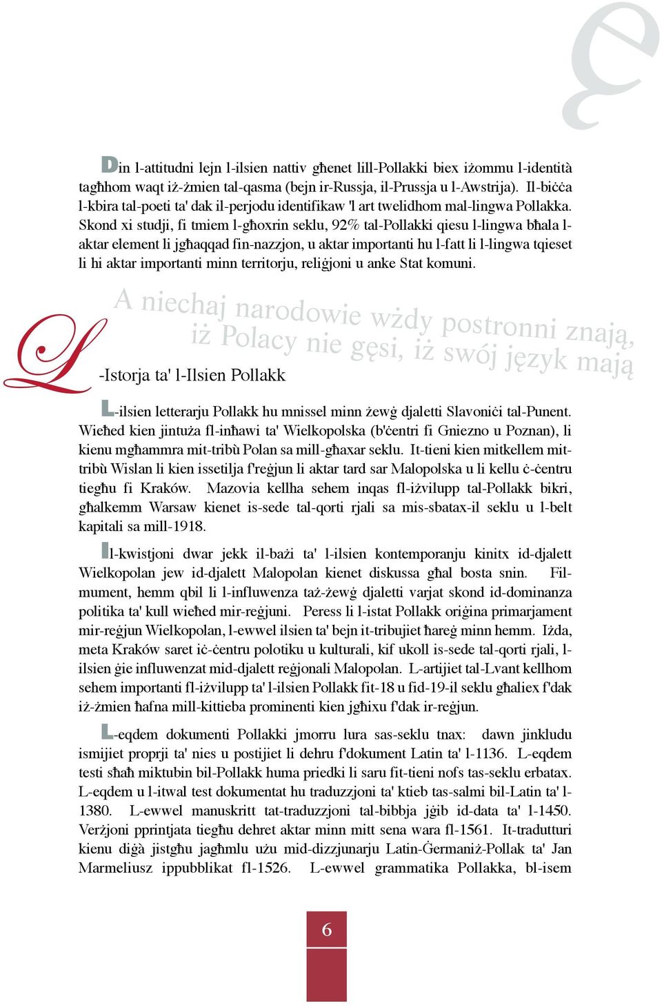 Skond xi studji, fi tmiem l-għoxrin seklu, 92% tal-pollakki qiesu l-lingwa bħala l- aktar element li jgħaqqad fin-nazzjon, u aktar importanti hu l-fatt li l-lingwa tqieset li hi aktar importanti minn