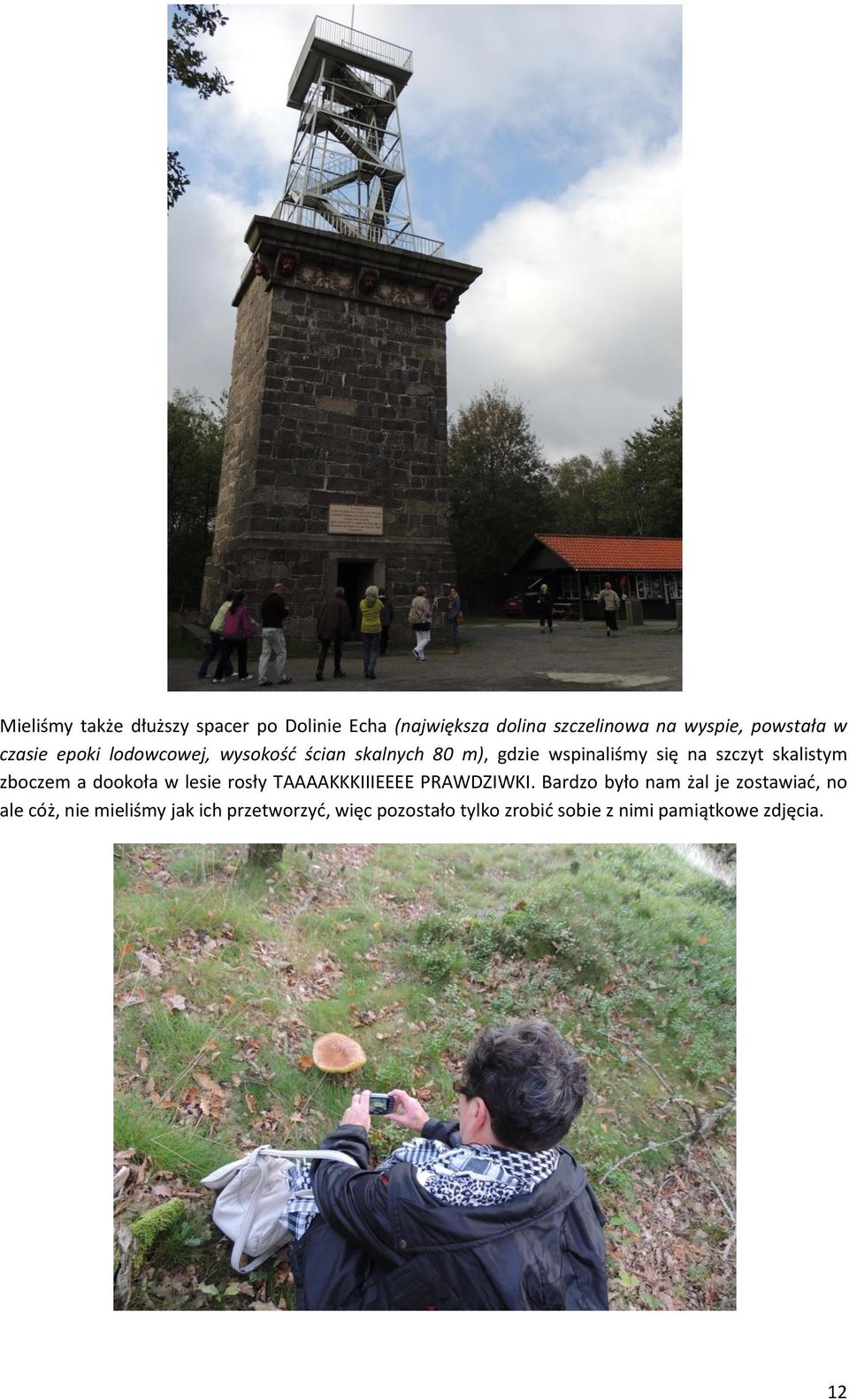 zboczem a dookoła w lesie rosły TAAAAKKKIIIEEEE PRAWDZIWKI.