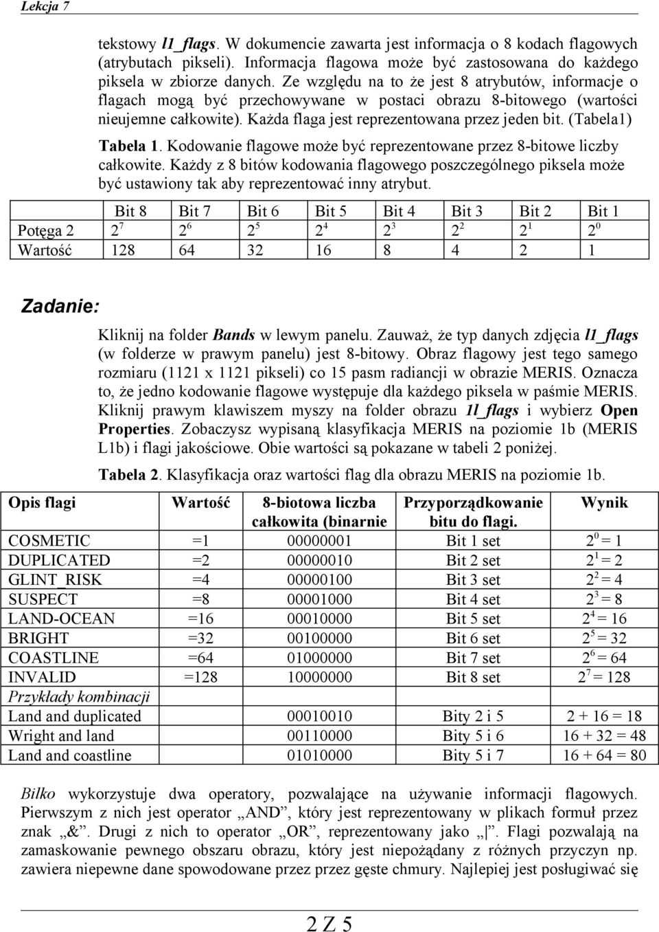 (Tabela1) Tabela 1. Kodowanie flagowe może być reprezentowane przez 8-bitowe liczby całkowite.