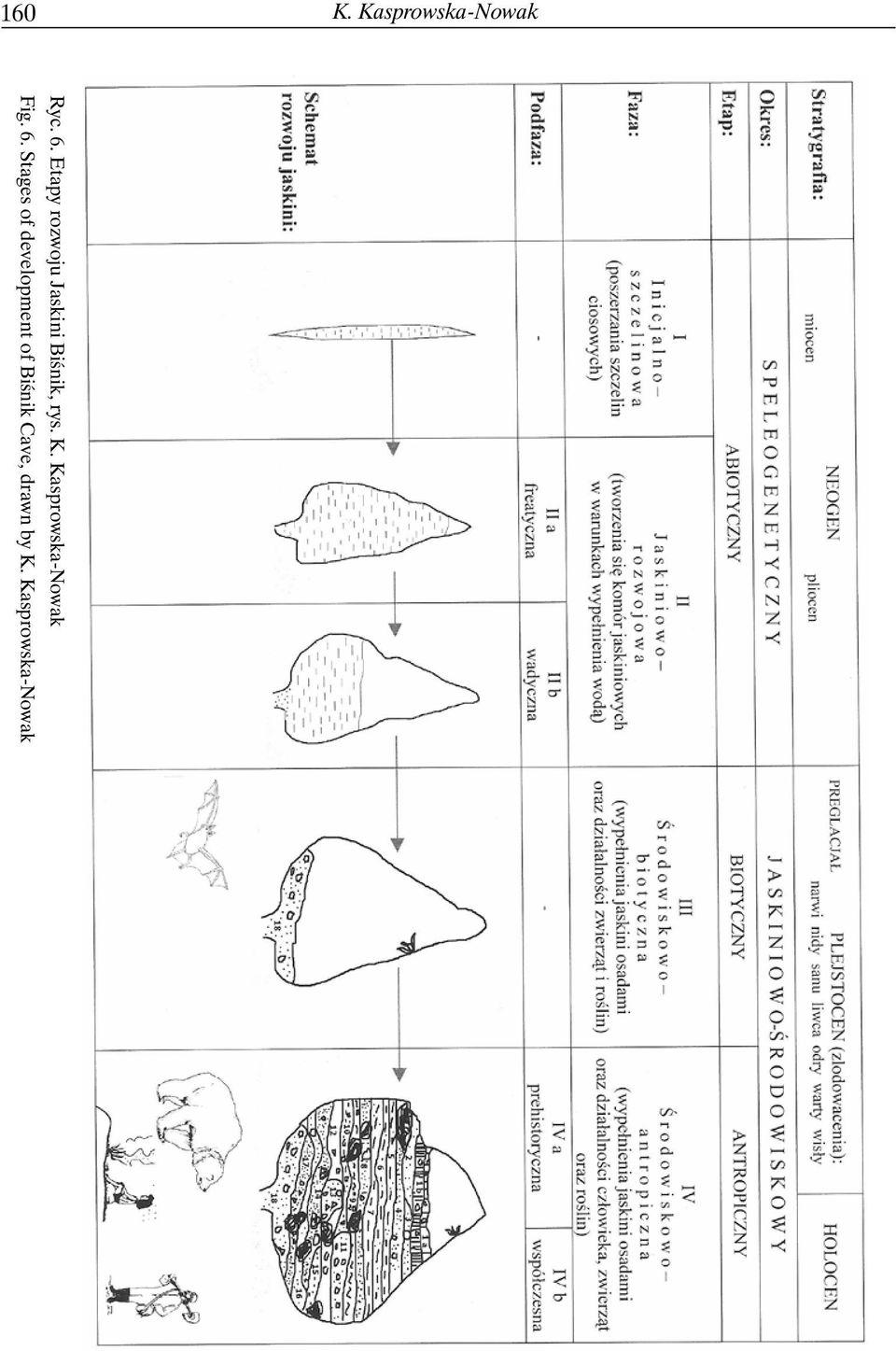 Kasprowska-Nowak Fig. 6.