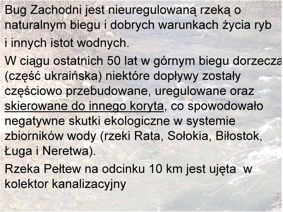 przebudowane, uregulowane oraz skierowane do innego koryta, co spowodowało negatywne skutki ekologiczne w systemie