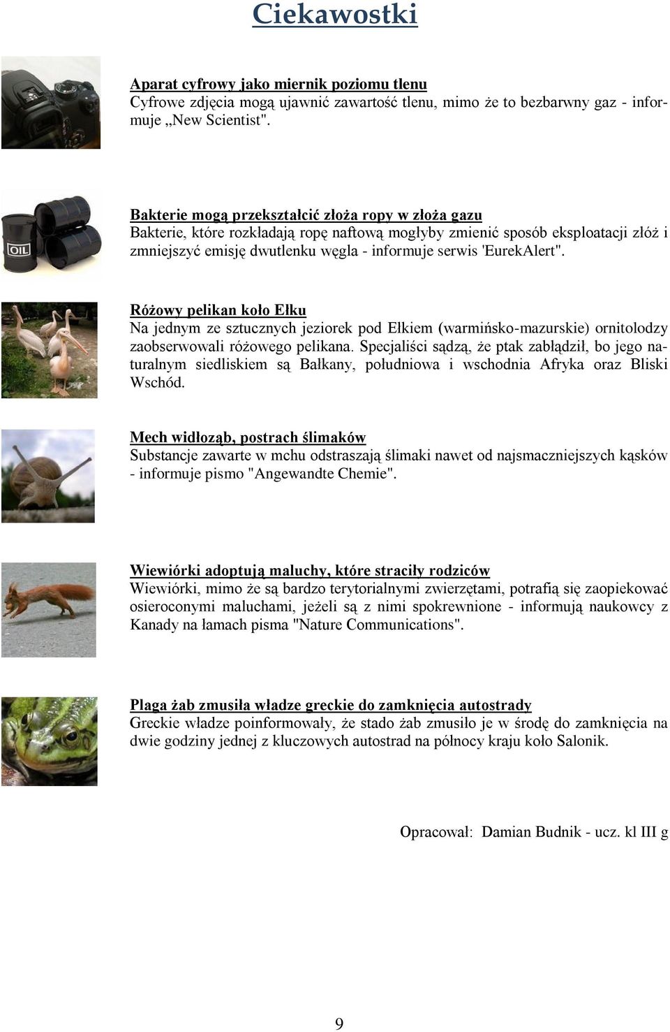 'EurekAlert". Różowy pelikan koło Ełku Na jednym ze sztucznych jeziorek pod Ełkiem (warmińsko-mazurskie) ornitolodzy zaobserwowali różowego pelikana.