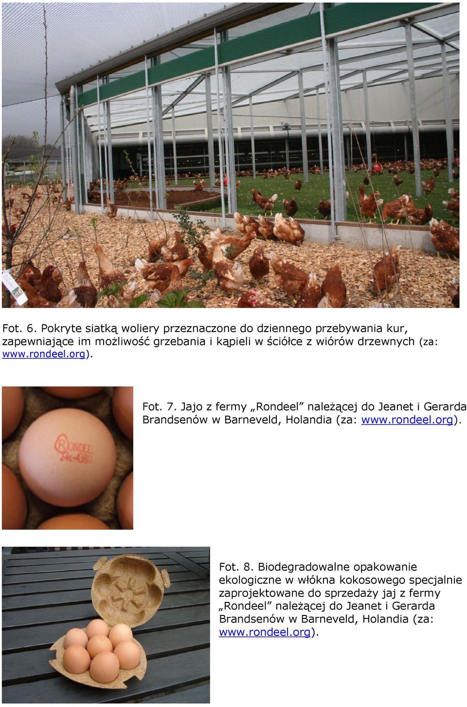 wiórów drzewnych (za: www.rondeel.org). Fot. 7.