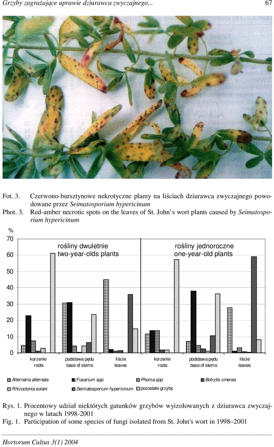 John s wort plants caused by Seimatosporium hypericinum ro liny dwuletnie two-year-olds plants ro liny jednoroczne one-year-old plants 50 40 30 20 10 0 korzenie roots podstawa p du base of stems li