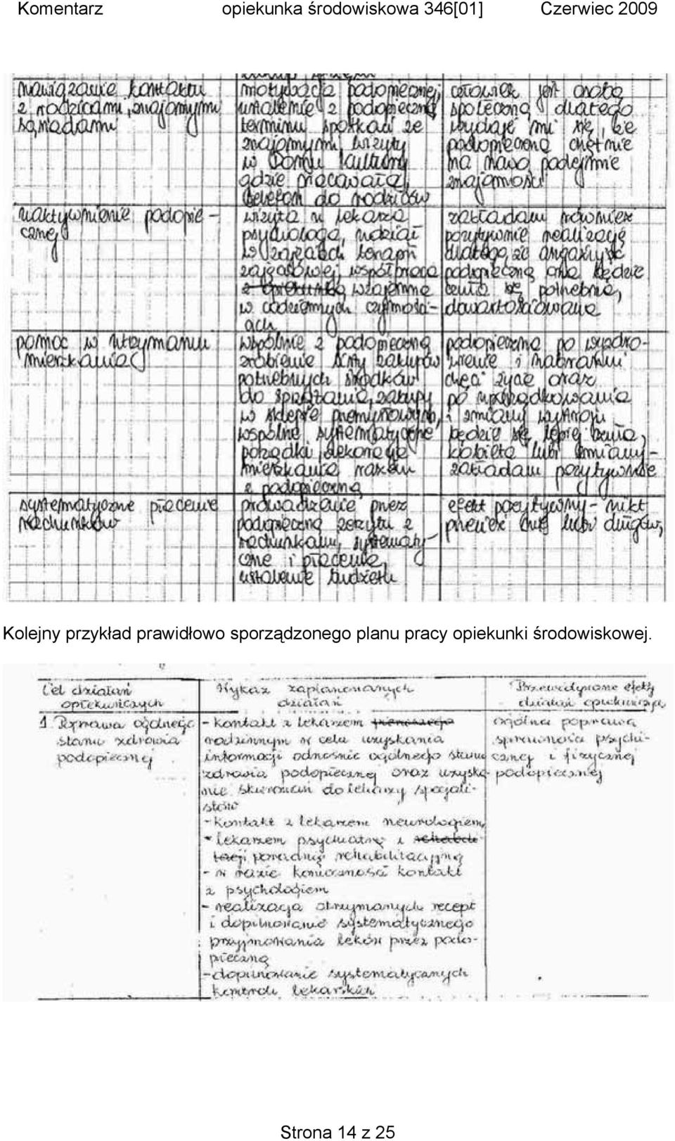 sporządzonego planu