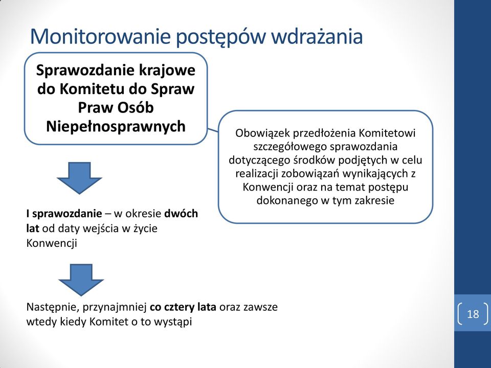 szczegółowego sprawozdania dotyczącego środków podjętych w celu realizacji zobowiązań wynikających z Konwencji