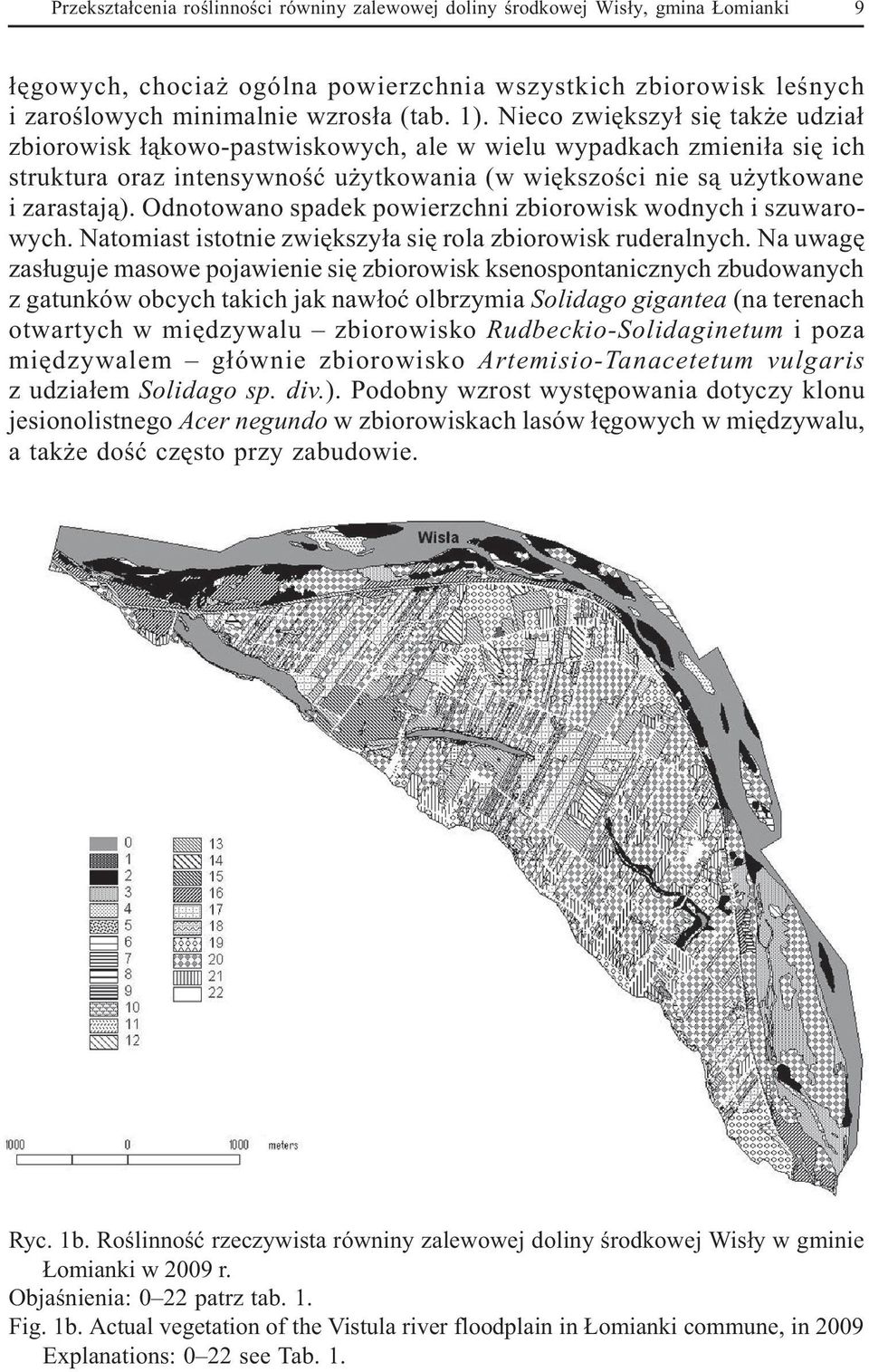 Odnotowano spadek powierzchni zbiorowisk wodnych i szuwarowych. Natomiast istotnie zwiêkszy³a siê rola zbiorowisk ruderalnych.