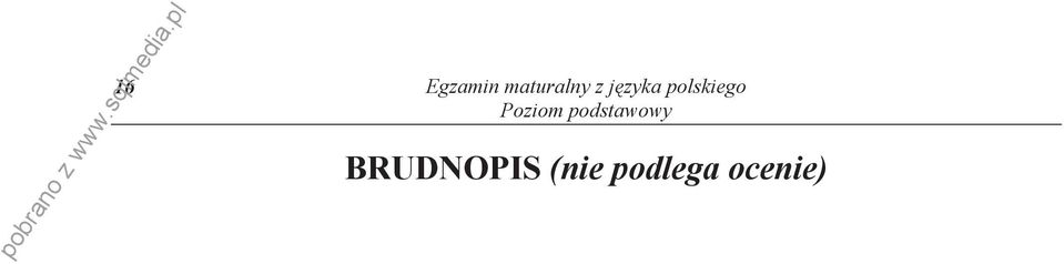 pl BRUDNOPIS