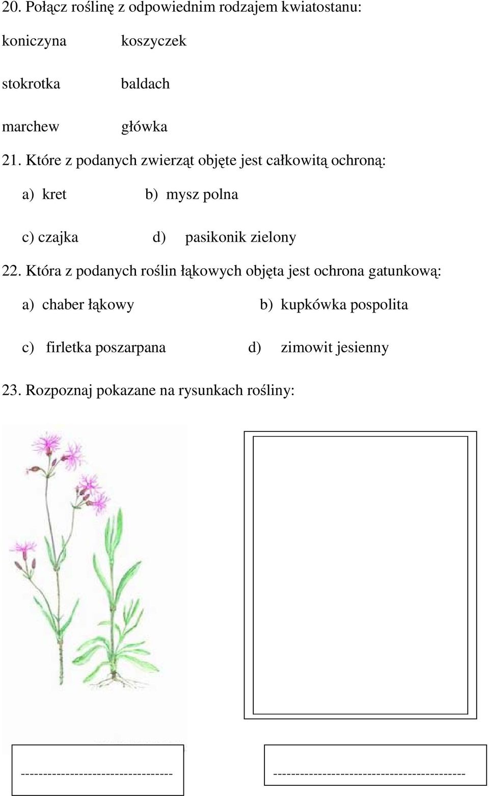 Która z podanych roślin łąkowych objęta jest ochrona gatunkową: a) chaber łąkowy b) kupkówka pospolita c) firletka