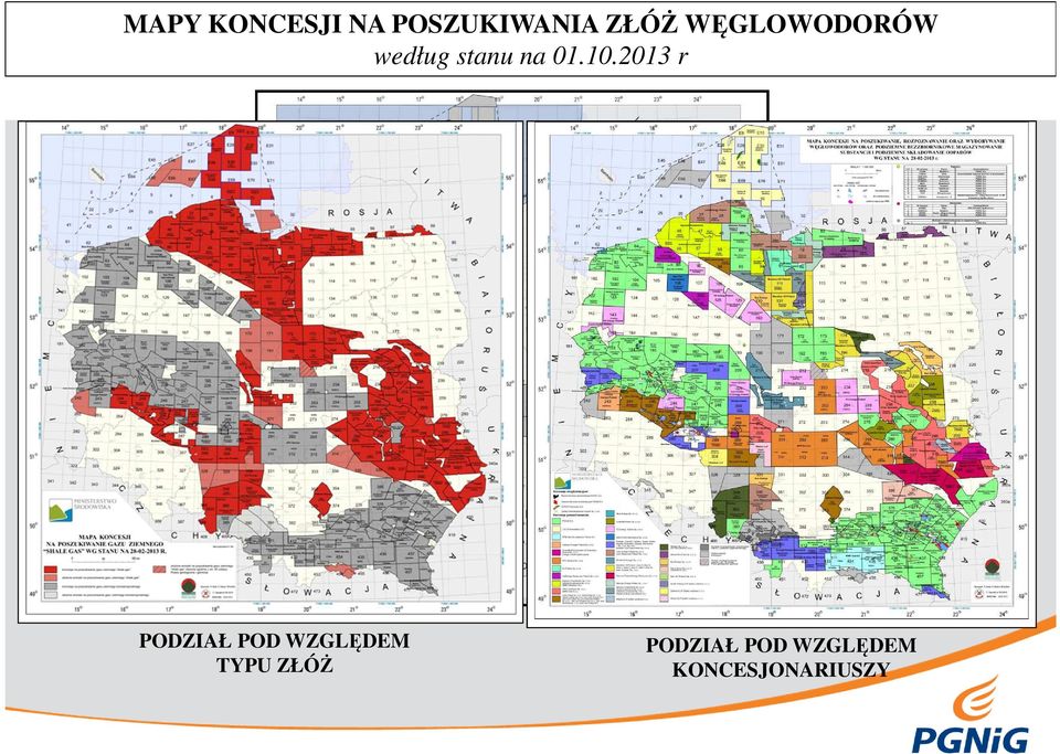 2013 r PODZIAŁ POD WZGLĘDEM TYPU