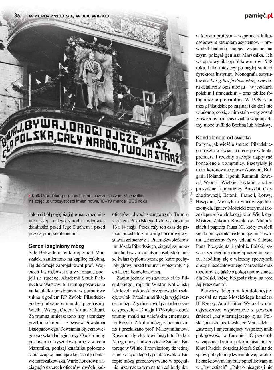 Monografia zatytułowana Mózg Józefa Piłsudskiego zawiera detaliczny opis mózgu w językach polskim i francuskim oraz tablice fotograficzne preparatów.