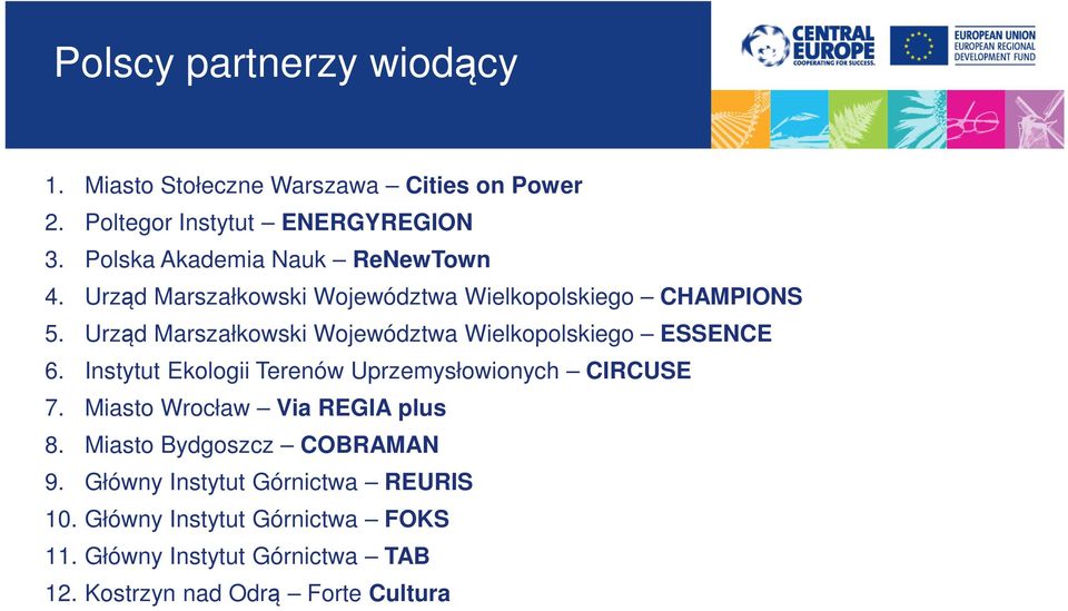 Urząd Marszałkowski Województwa Wielkopolskiego ESSENCE 6. Instytut Ekologii Terenów Uprzemysłowionych CIRCUSE 7.