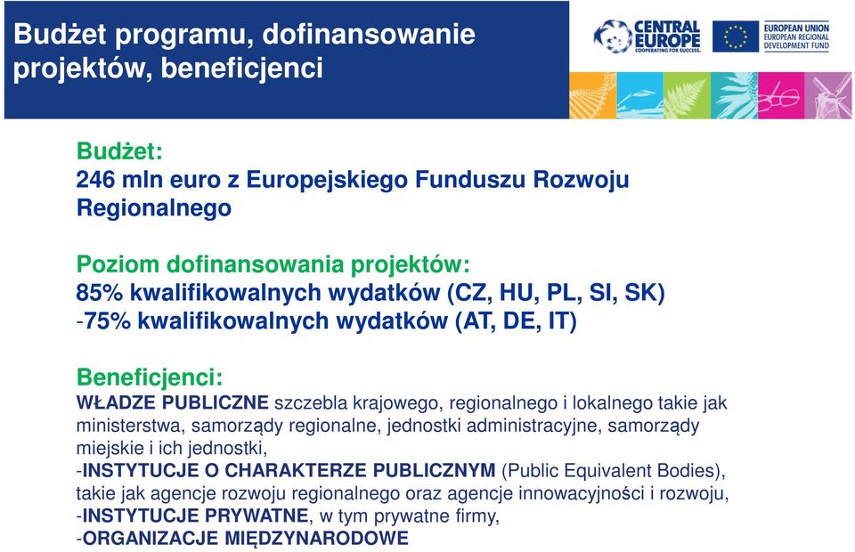 lokalnego takie jak ministerstwa, samorządy regionalne, jednostki administracyjne, samorządy miejskie i ich jednostki, -INSTYTUCJE O CHARAKTERZE PUBLICZNYM