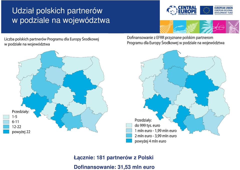 Łącznie: 181 partnerów z