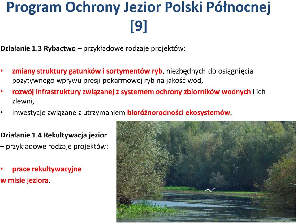 osiągnięcia pozytywnego wpływu presji pokarmowej ryb na jakość wód, rozwój infrastruktury związanej z