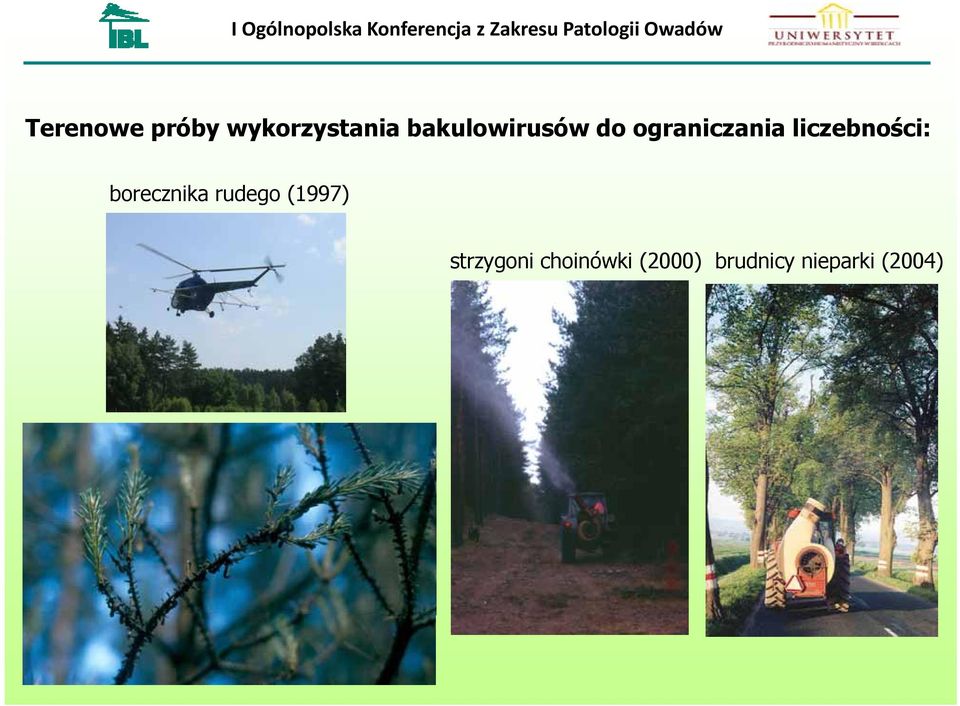 liczebności: borecznika rudego