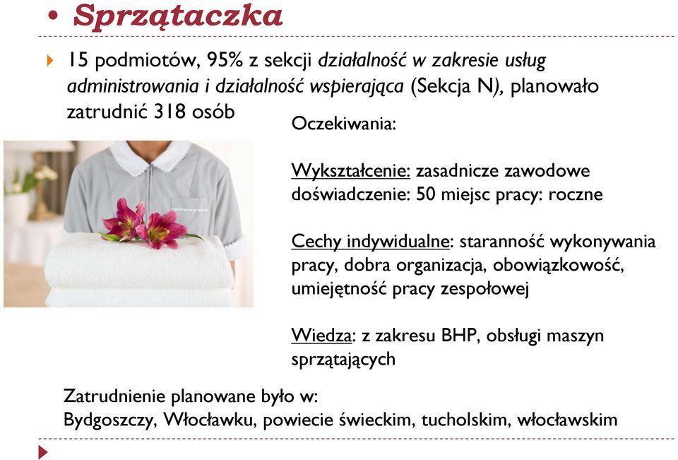 indywidualne: staranność wykonywania pracy, dobra organizacja, obowiązkowość, umiejętność pracy zespołowej Wiedza: z zakresu