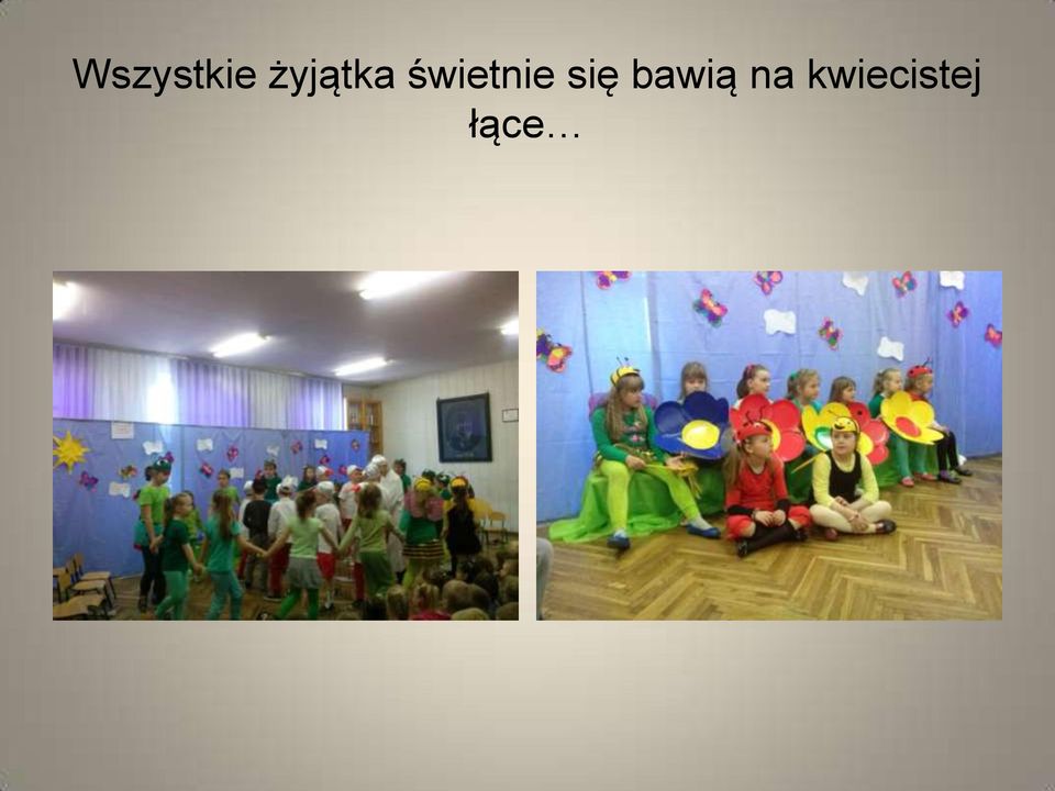 świetnie się