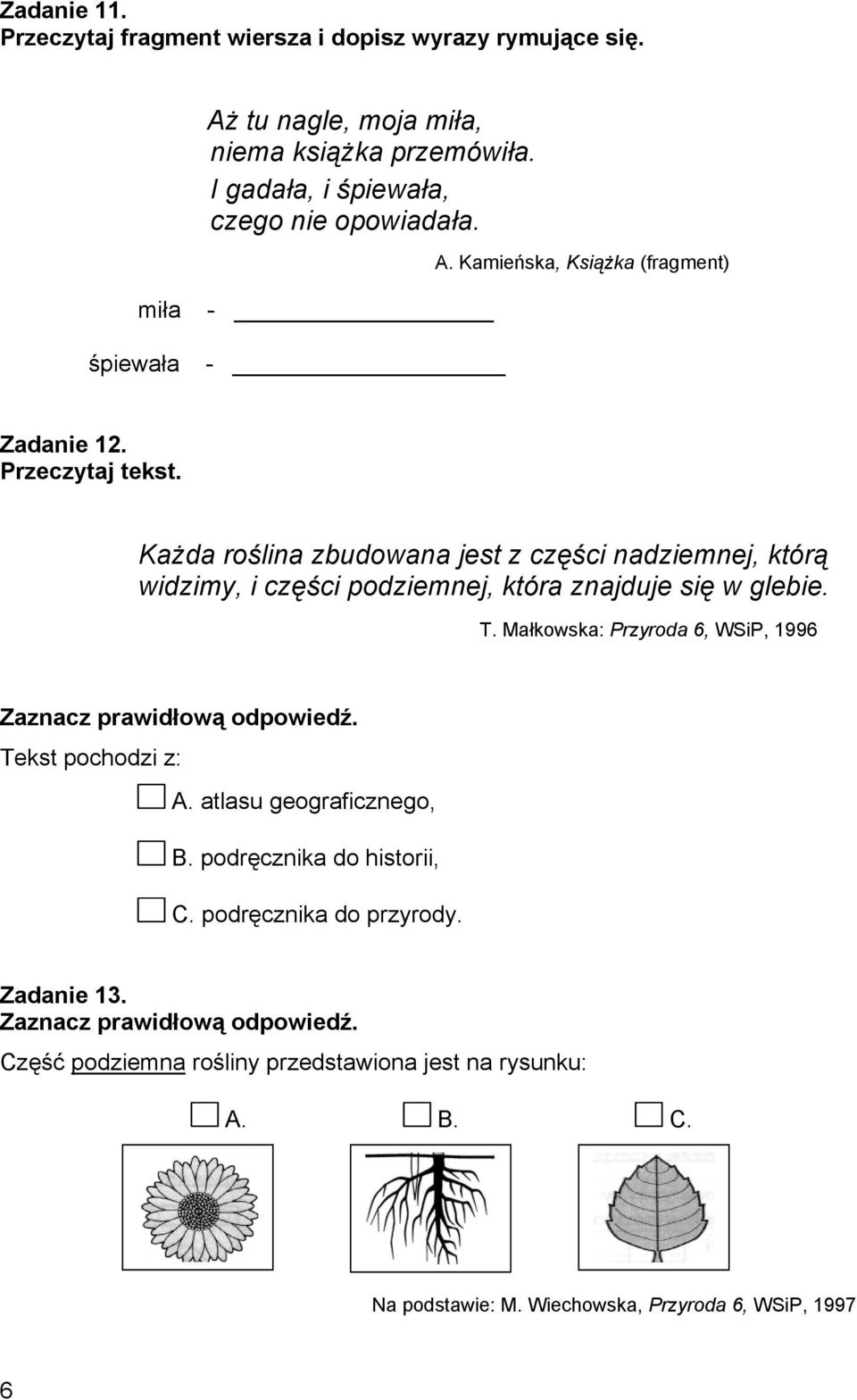 Każda roślina zbudowana jest z części nadziemnej, którą widzimy, i części podziemnej, która znajduje się w glebie. T.