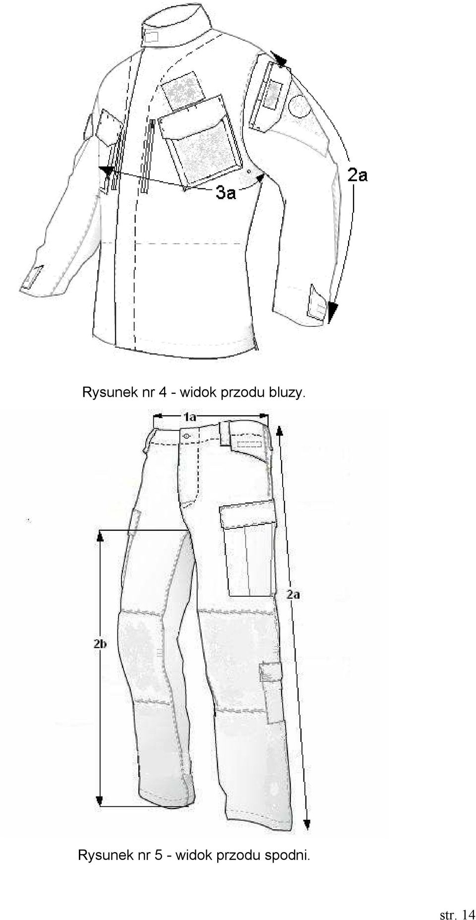 Rysunek nr 5 -