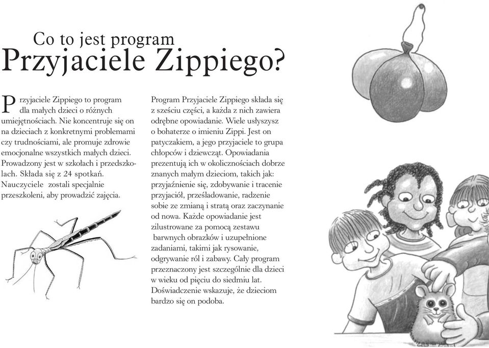 Sk³ada siê z 24 spotkañ. Nauczyciele zostali specjalnie przeszkoleni, aby prowadziæ zajêcia. Program Przyjaciele Zippiego sk³ada siê z szeœciu czêœci, a ka da z nich zawiera odrêbne opowiadanie.