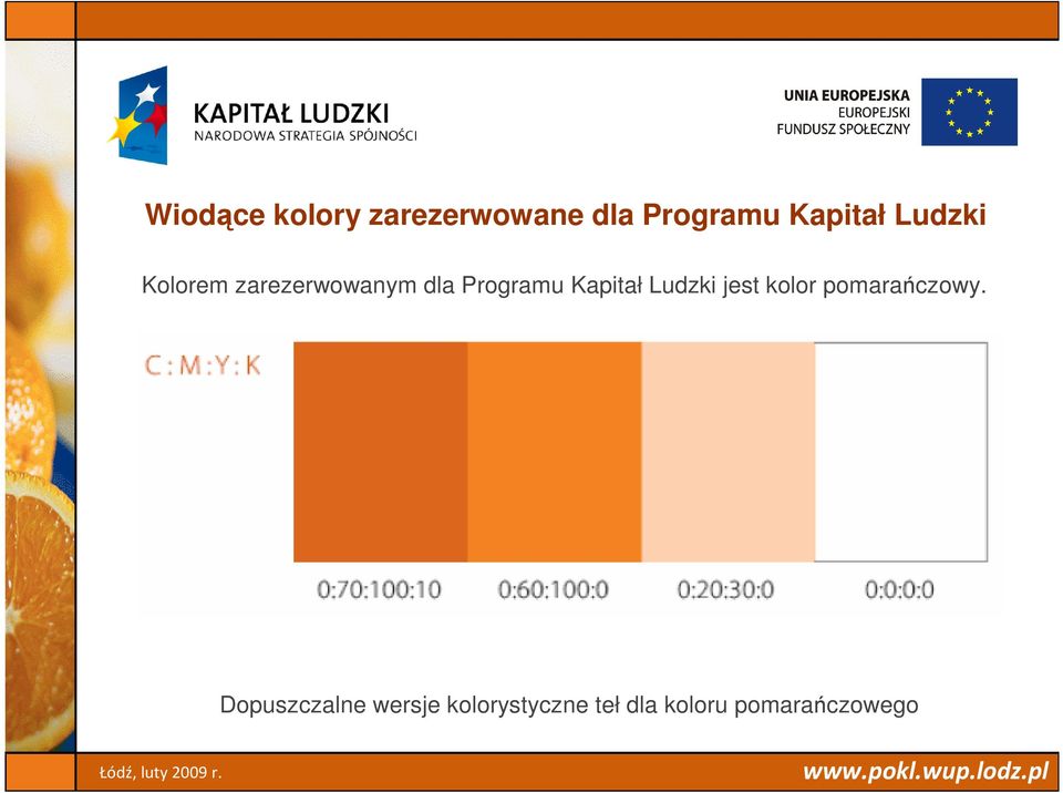 Programu Kapitał Ludzki jest kolor pomarańczowy.