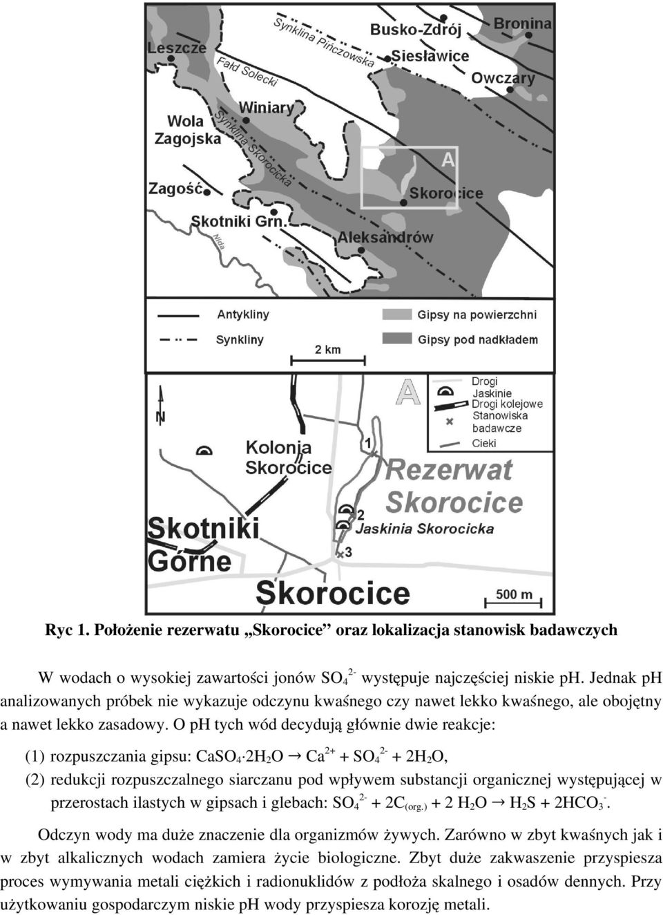 O ph tych wód decydują głównie dwie reakcje: (1) rozpuszczania gipsu: CaSO 4 2H 2 O Ca 2+ + SO 2 4 + 2H 2 O, (2) redukcji rozpuszczalnego siarczanu pod wpływem substancji organicznej występującej w