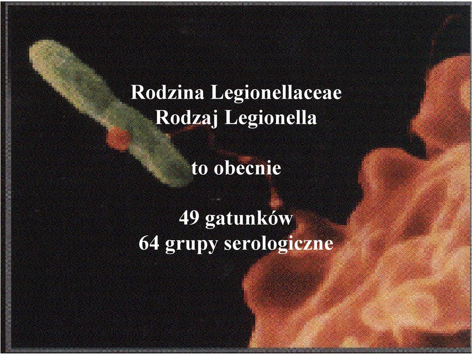 Legionella to obecnie