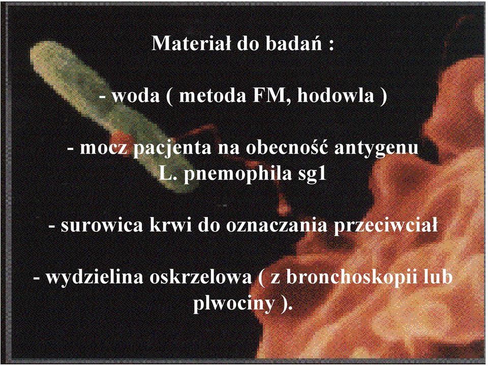 pnemophila sg1 - surowica krwi do oznaczania