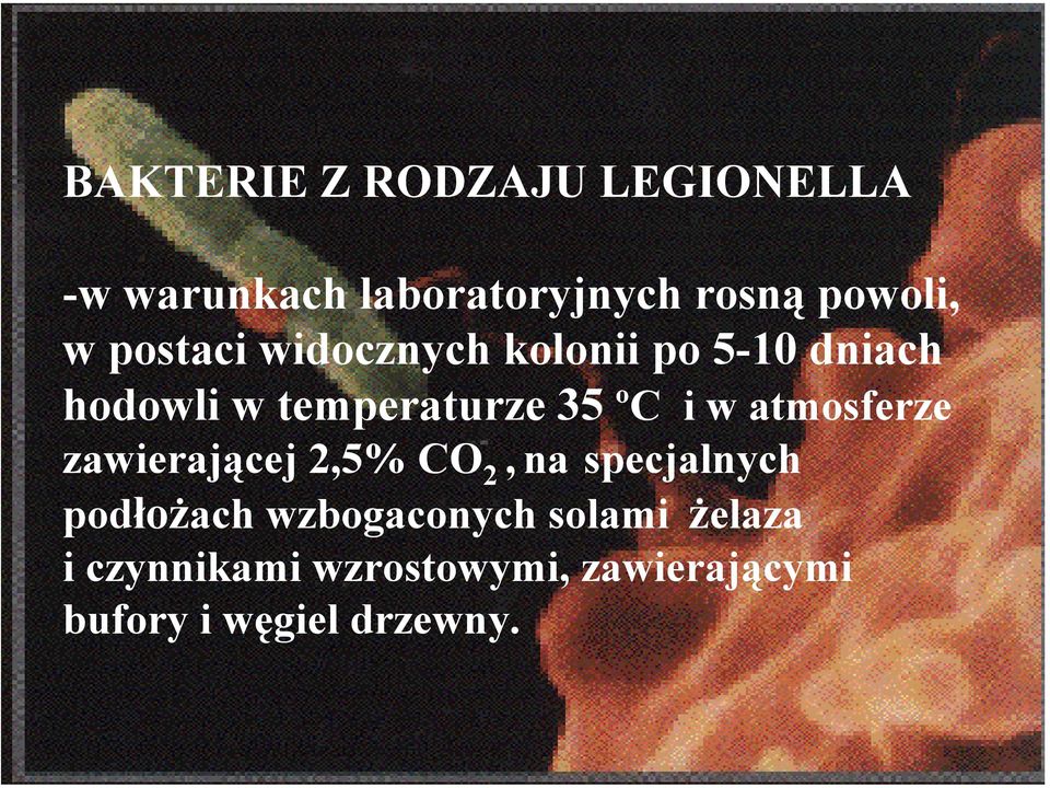 atmosferze zawierającej 2,5% CO 2, na specjalnych podłożach wzbogaconych