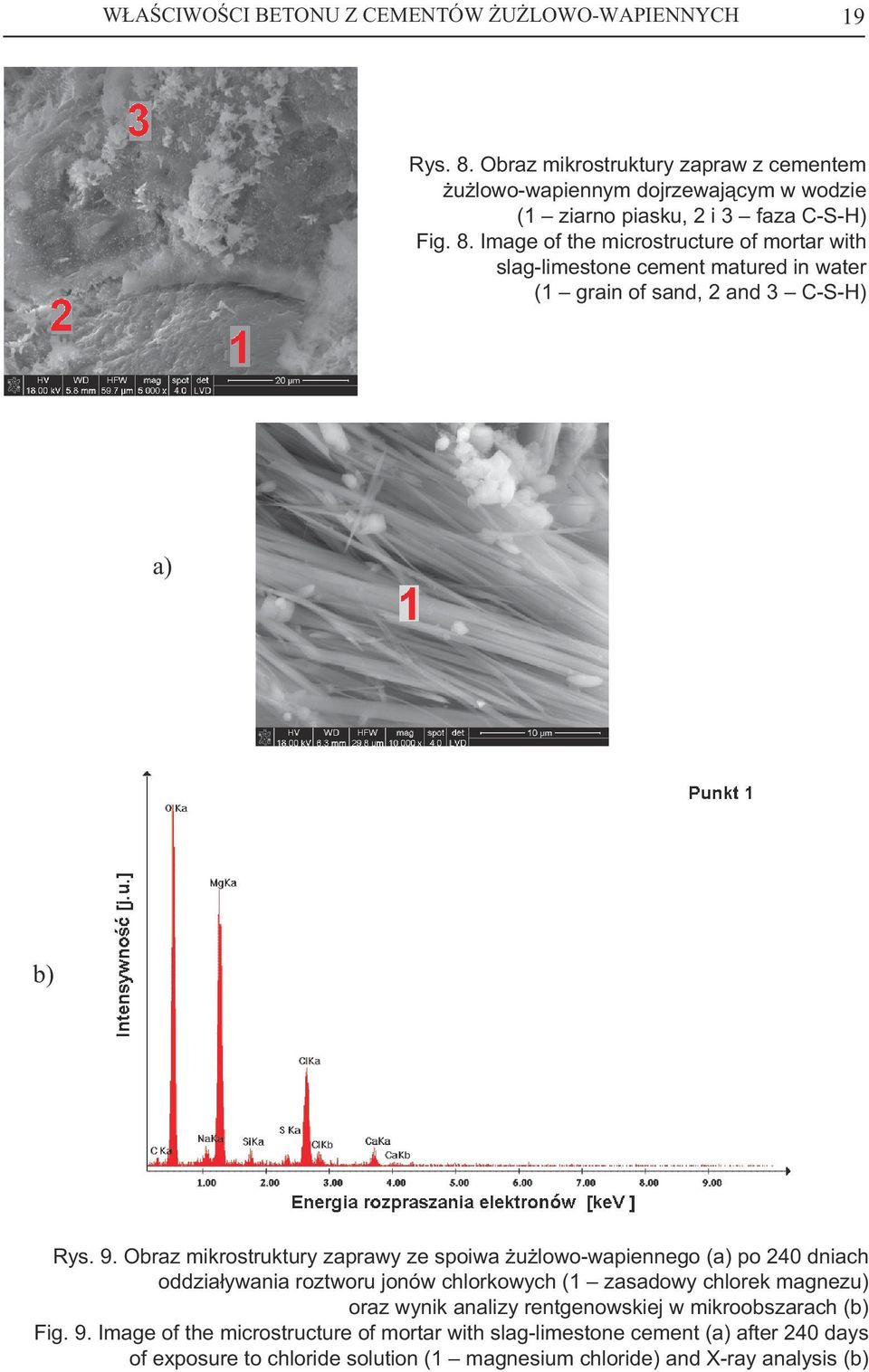 Image of the microstructure of mortar with slag-limestone cement matured in water (1 grain of sand, 2 and 3 C-S-H) a) b) Rys. 9.