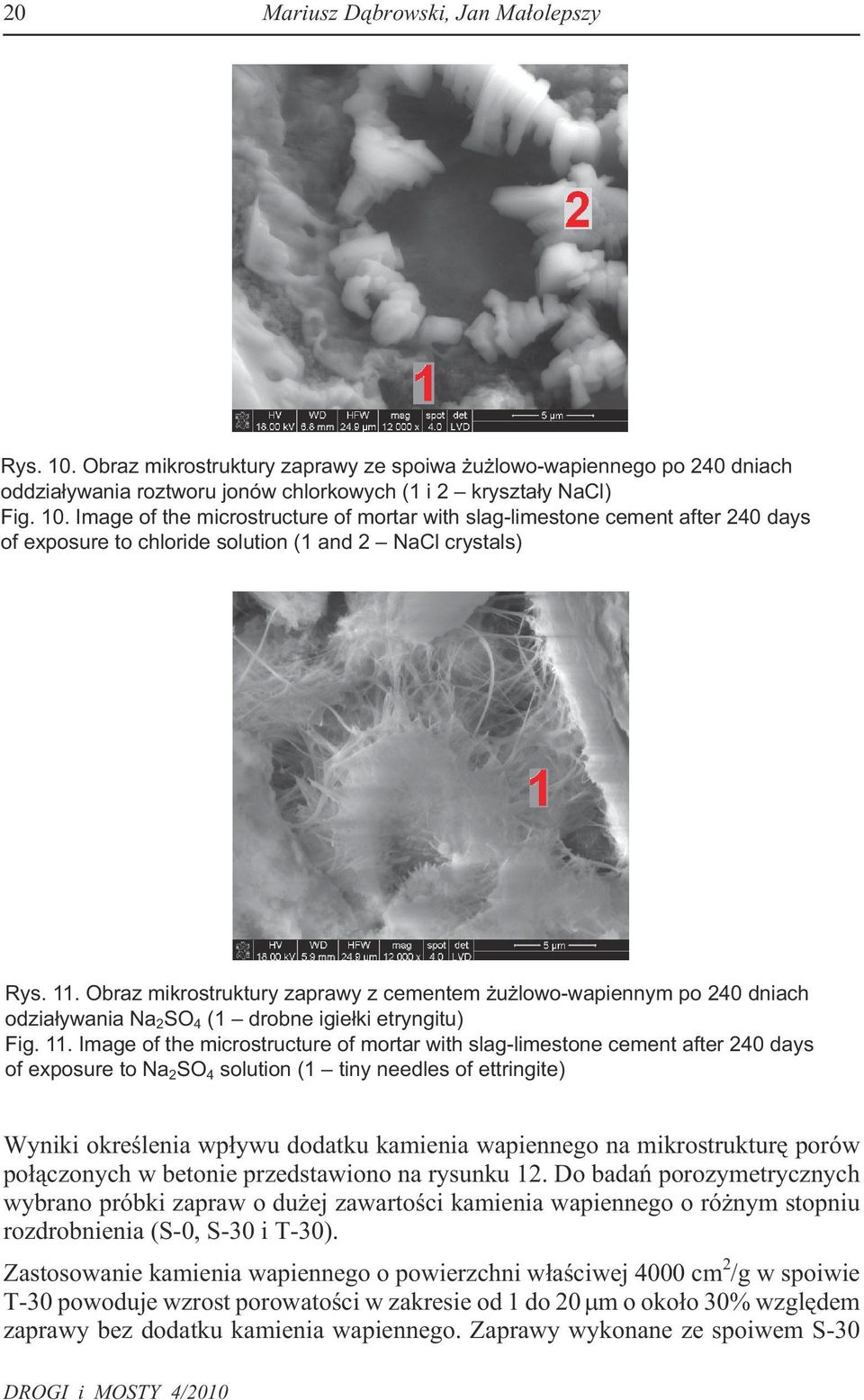 Image of the microstructure of mortar with slag-limestone cement after 240 days of exposure to Na 2 SO 4 solution (1 tiny needles of ettringite) Wyniki okreœlenia wp³ywu dodatku kamienia wapiennego