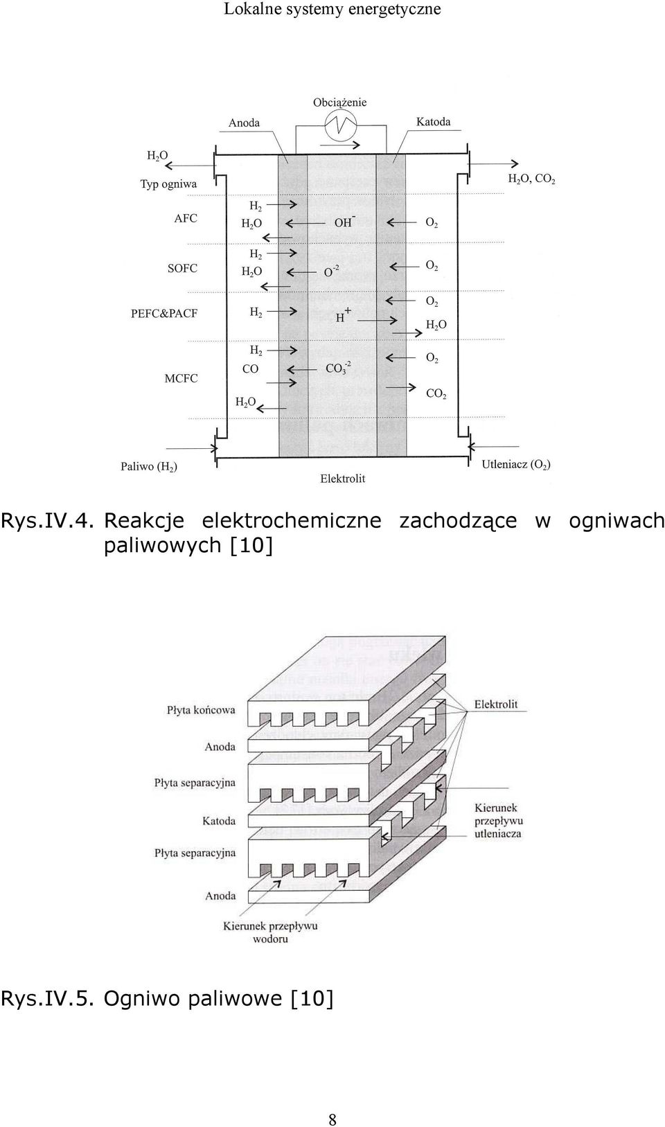 zachodzące w ogniwach