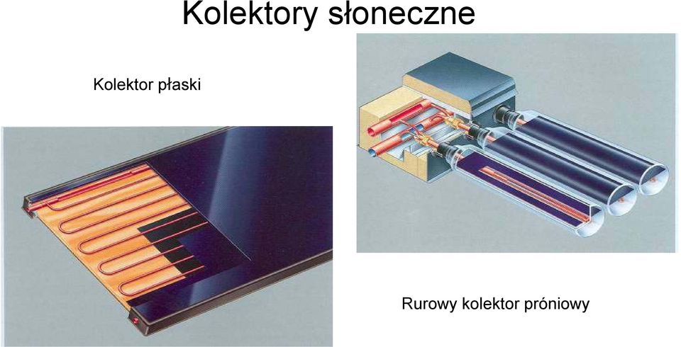 Kolektor