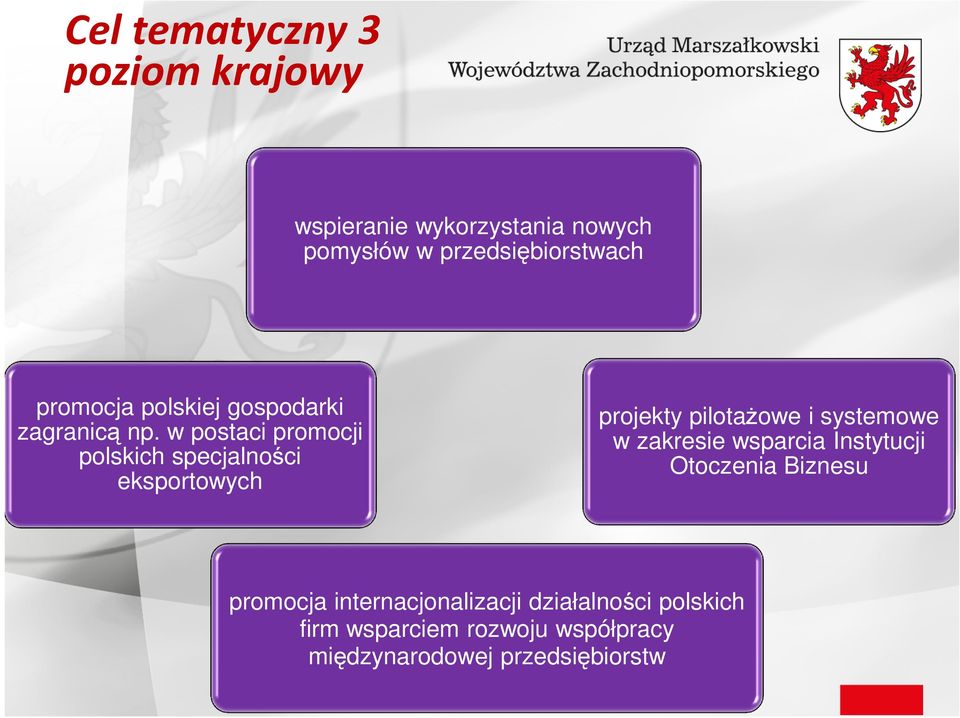 w postaci promocji polskich specjalności eksportowych projekty pilotaŝowe i systemowe w zakresie