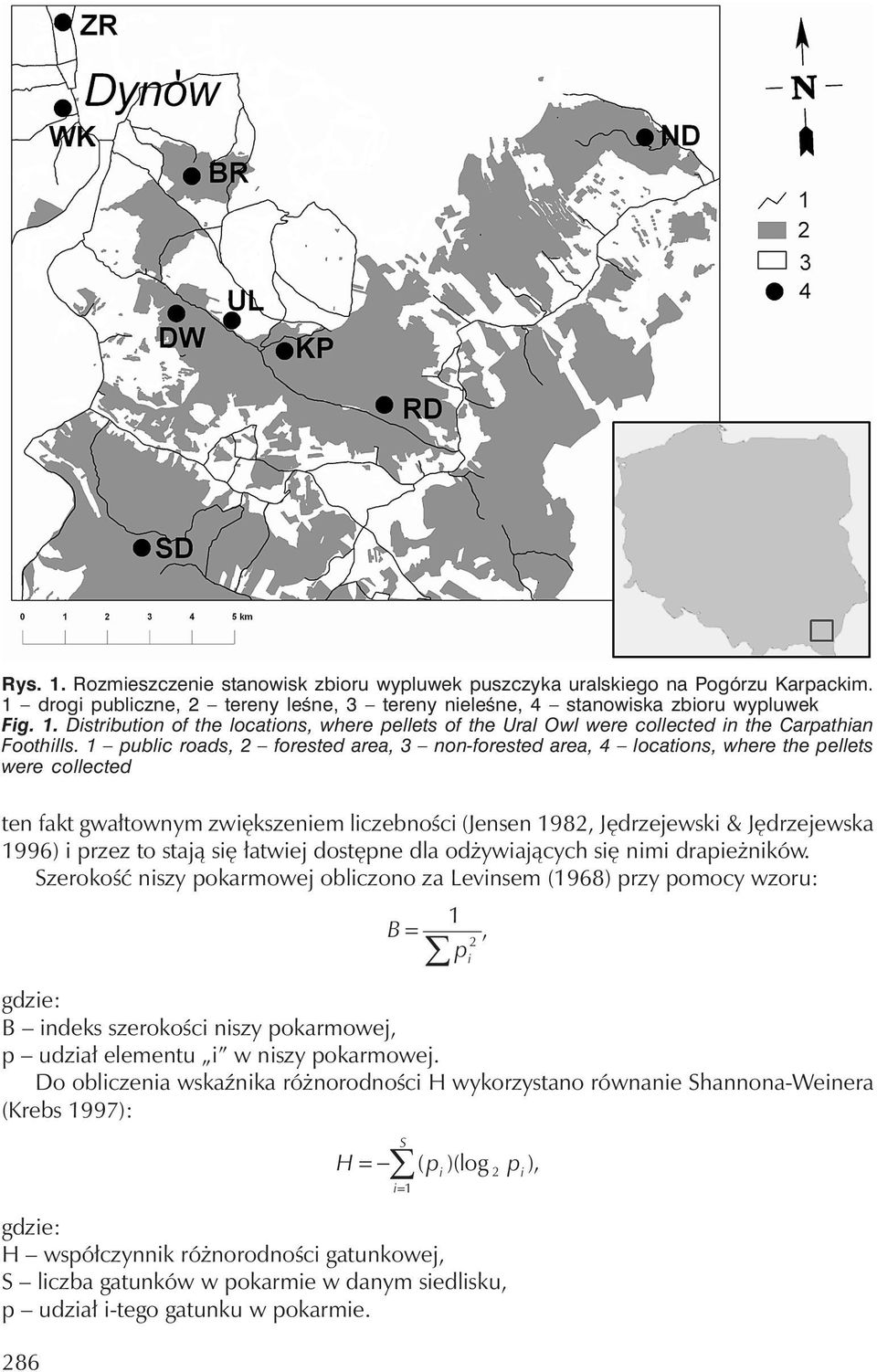 przez to stają się łatwiej dostępne dla odżywiających się nimi drapieżników.